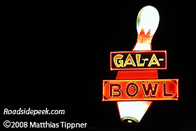 Gala Bowl Neon